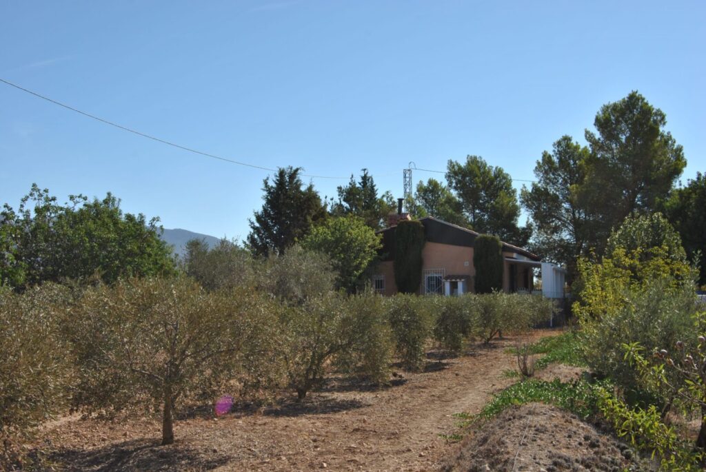 mr9yp4NM Finca 2 dormitorios piscina privada en Aledo - Imagen 37
